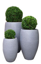 Havana Planter in Dark Granite